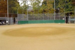 桜ノ宮野球場